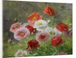 Cluster of Poppies, 1884 by Louis Marie Lemaire