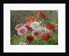 Cluster of Poppies, 1884 by Louis Marie Lemaire