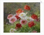 Cluster of Poppies, 1884 by Louis Marie Lemaire