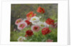 Cluster of Poppies, 1884 by Louis Marie Lemaire