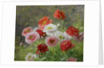 Cluster of Poppies, 1884 by Louis Marie Lemaire