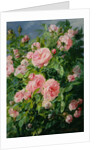 Pink Roses by Pierre Garnier