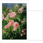 Pink Roses by Pierre Garnier