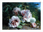Study of Peonies, 1874 by Amedee Baudit