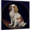 King Charles Spaniel by Charles Emile Callande de Champmartin