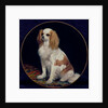 King Charles Spaniel by Charles Emile Callande de Champmartin