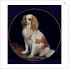 King Charles Spaniel by Charles Emile Callande de Champmartin