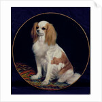 King Charles Spaniel by Charles Emile Callande de Champmartin