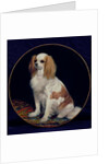 King Charles Spaniel by Charles Emile Callande de Champmartin