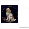 King Charles Spaniel by Charles Emile Callande de Champmartin