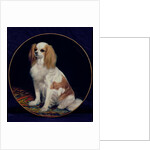 King Charles Spaniel by Charles Emile Callande de Champmartin
