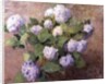 Blue Hydrangeas by Henri Lerolle
