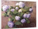 Blue Hydrangeas by Henri Lerolle