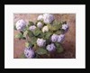 Blue Hydrangeas by Henri Lerolle