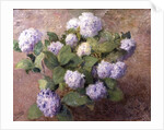 Blue Hydrangeas by Henri Lerolle