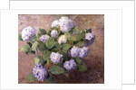 Blue Hydrangeas by Henri Lerolle