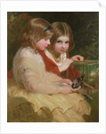 The Pet Bullfinch by James Sant