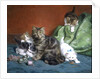 Playful Kittens by Daniel Merlin