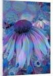Cone Flower, 2015 by Scott J. Davis