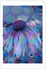 Cone Flower, 2015 by Scott J. Davis