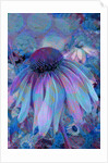 Cone Flower, 2015 by Scott J. Davis