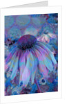 Cone Flower, 2015 by Scott J. Davis