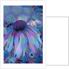 Cone Flower, 2015 by Scott J. Davis