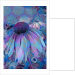 Cone Flower, 2015 by Scott J. Davis