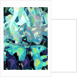 Iris, 2010 by Scott J. Davis