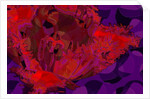 Red Tulip, 2010 by Scott J. Davis