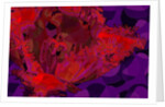 Red Tulip, 2010 by Scott J. Davis