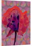 Tea Rose 3, 2010 by Scott J. Davis