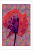 Tea Rose 3, 2010 by Scott J. Davis