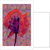 Tea Rose 3, 2010 by Scott J. Davis