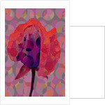 Tea Rose 3, 2010 by Scott J. Davis