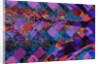 Feather, 2009 by Scott J. Davis