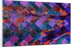 Feather, 2009 by Scott J. Davis