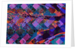 Feather, 2009 by Scott J. Davis