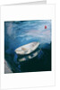 Boat and Buoy, 2003 by Sue Jamieson