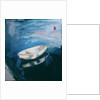 Boat and Buoy, 2003 by Sue Jamieson