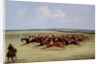 The Cambridgeshire Stakes, 1853 by Samuel Henry Alken