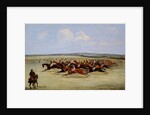 The Cambridgeshire Stakes, 1853 by Samuel Henry Alken