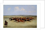 The Cambridgeshire Stakes, 1853 by Samuel Henry Alken