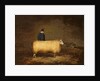 A Sheep and Its Owner by School English