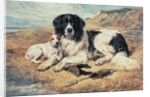 Dogs Watching Bathers, 1900 by John Emms