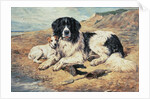 Dogs Watching Bathers, 1900 by John Emms