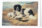 Dogs Watching Bathers, 1900 by John Emms