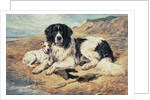 Dogs Watching Bathers, 1900 by John Emms