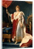 Napoleon Bonaparte in his coronation rob, c.1804 by Francois Pascal Simon Baron Gerard