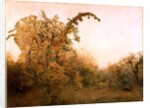 The Old Pear Tree by John William North
